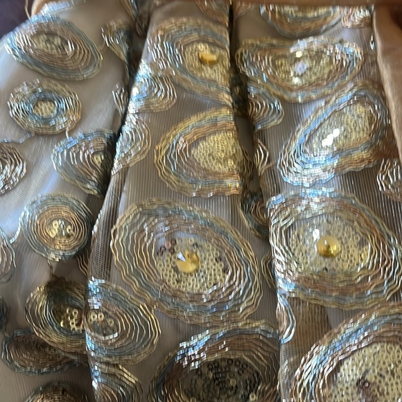 Beautiful, formal girls dress size 14. Isabel Garreton size 12 - Picture 9 of 9